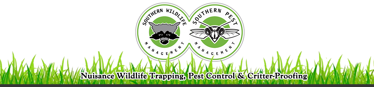 Southern Pest Management