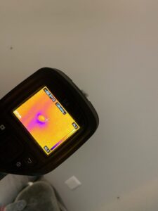thermal image of ball ground hornet