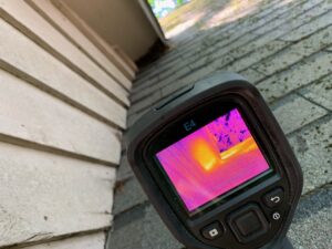 thermal image of hive in wall