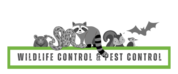 wildlife trapping - pest control