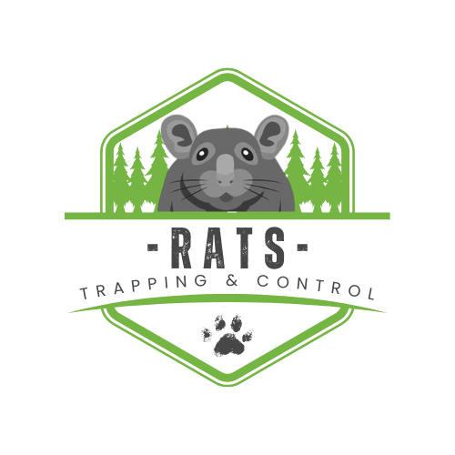 rat trapping duluth