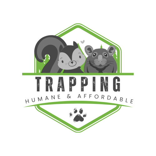 wildlife trapping